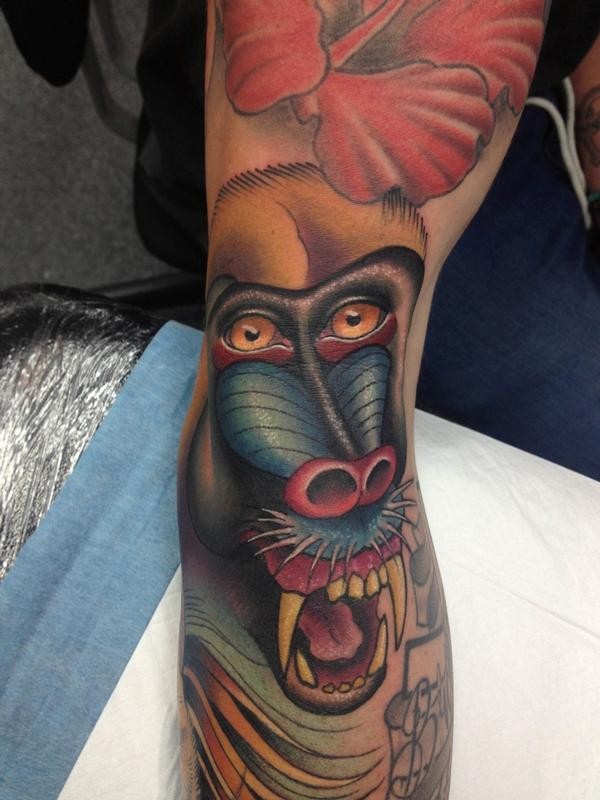 Impressive color-ink baboon tattoo on arm