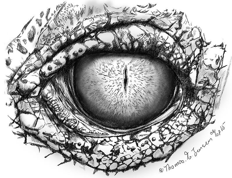 Impressive grey-ink reptile eye tattoo design by Thomase Jensen
