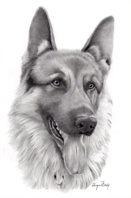 Impressive realistic grey-ink german shepherd portrait tattoo design
