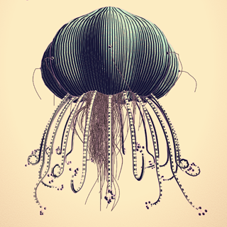 Interedsimt green stripe headed jellyfish tattoo design