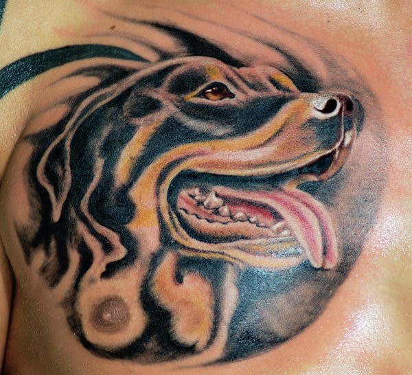 Interesting-designed black-ink rottweiler head tattoo on chest