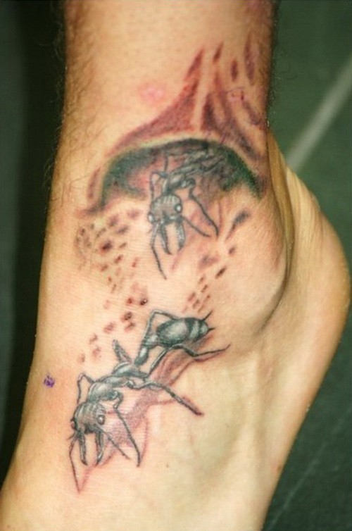 Interessant gestaltetes Fuß Tattoo mit nicht farbigen Ameisen