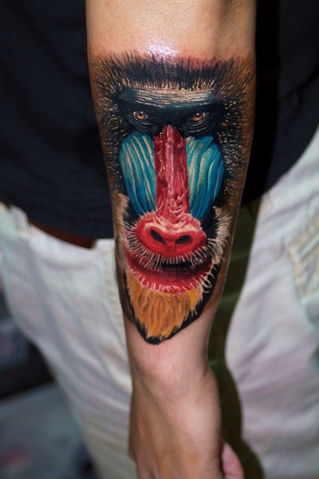 Interesting colorful baboon muzzle tattoo on arm