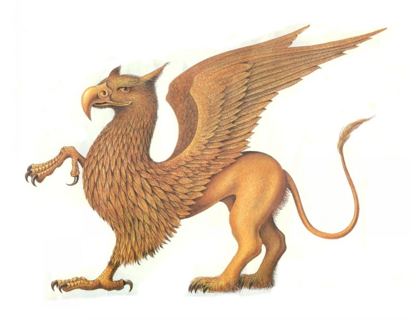 Kind full-yellow griffin with a lifted leg tattoo design
