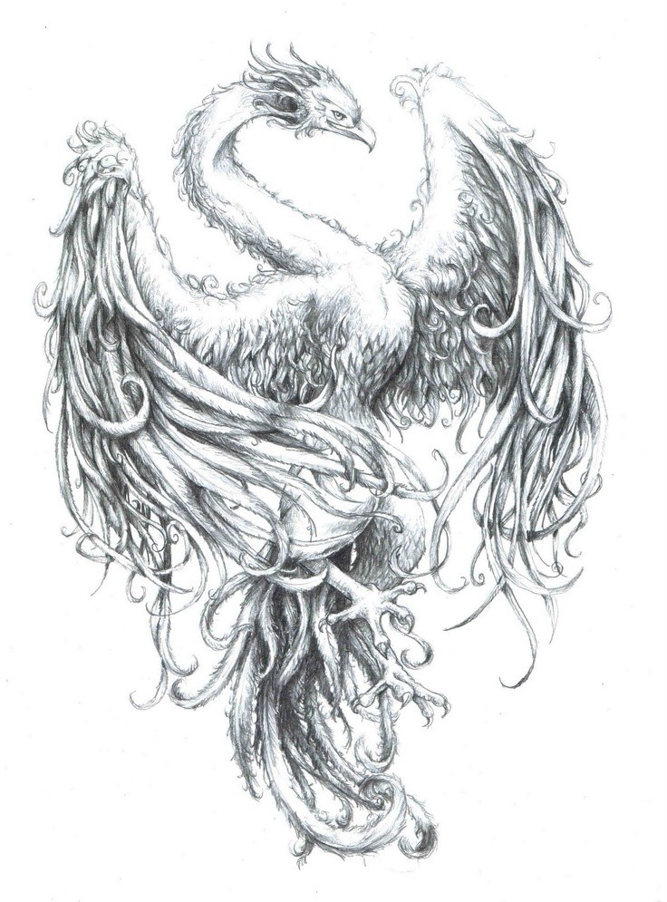 Kind grey-ink phoenix with curly feathers tattoo design