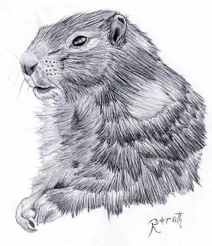 King black-and-white rodent portrait tattoo design by Rorathrath2611