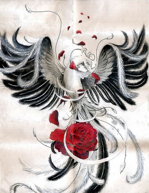 King black-and-white spread-winged phoenix and dark red rose bud tattoo design