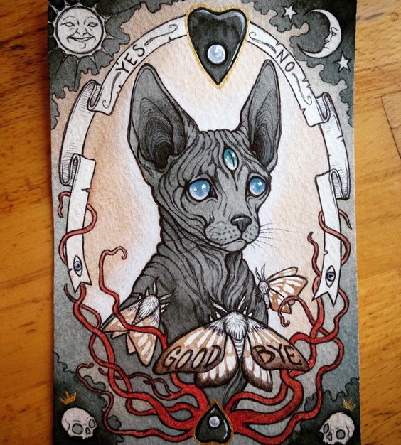 King grey three blue-eyed sphynx cat in unusual red frame tattoo design