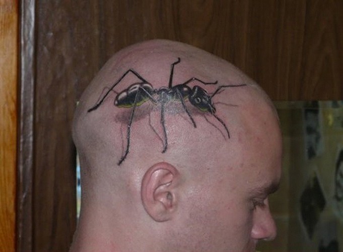 Large ant tattoo for man on head