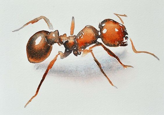 Large brown watercolor ant with shadow tattoo design