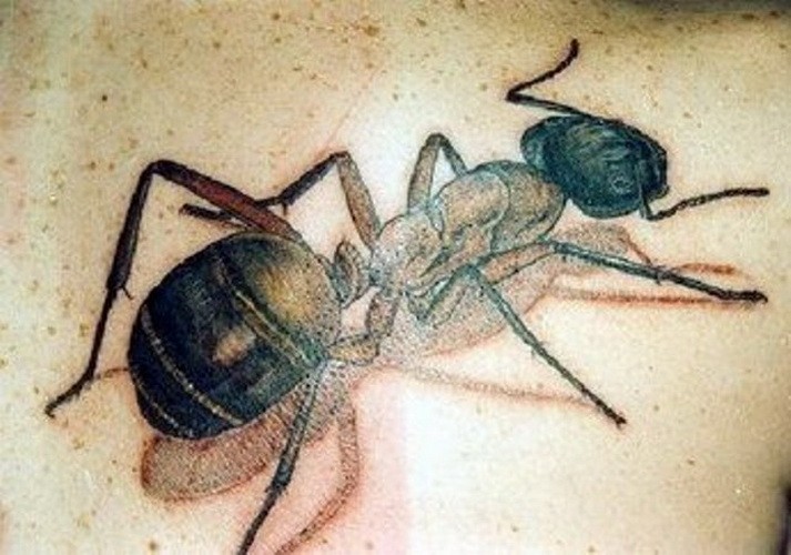 Large colorful 3D ant tattoo for men on back