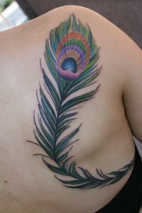 Large colorful peacock feather tattoo on back