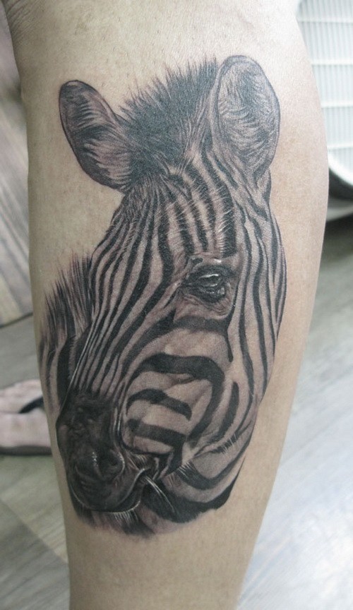 Large realistic zebra head tattoo on arm