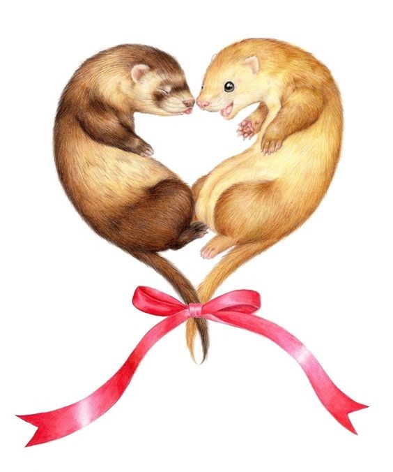 Light and dark brown heart-shaped rodents with pink bow tattoo design