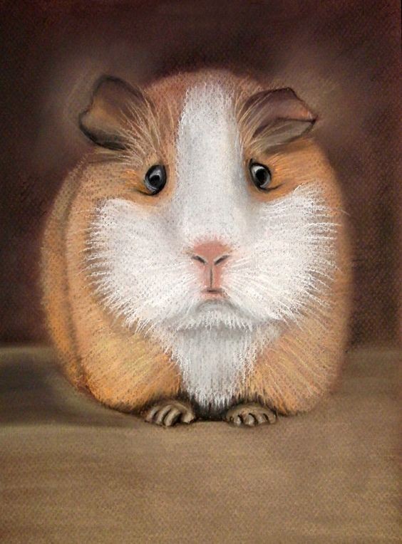 Light brown rodent with white-fur muzzle tattoo design