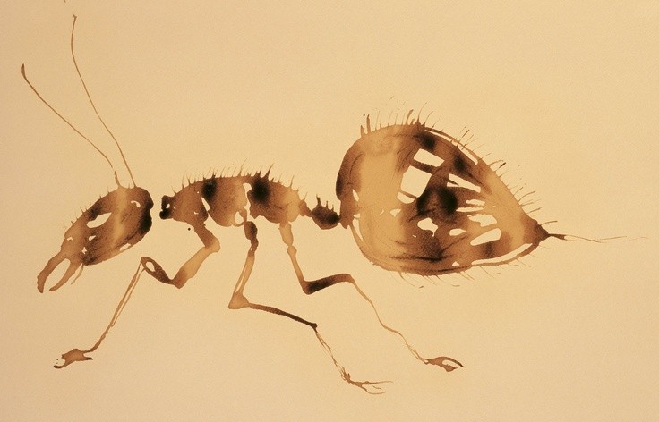 Light brown watercolor crawling ant silhouette tattoo design