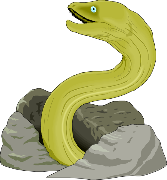 Light green eel water animal looking out of rocks tattoo design