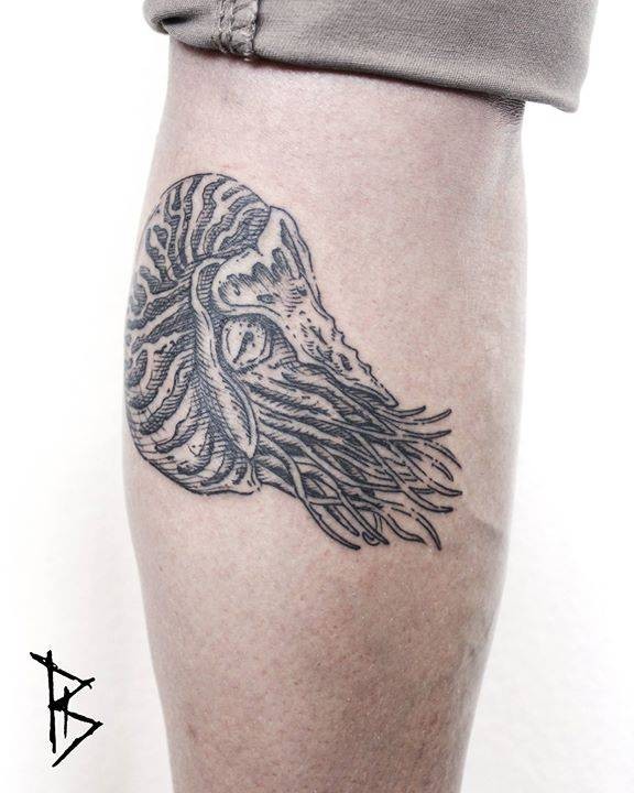 Linework estilo tinta preta perna tatuagem de concha de nautilus