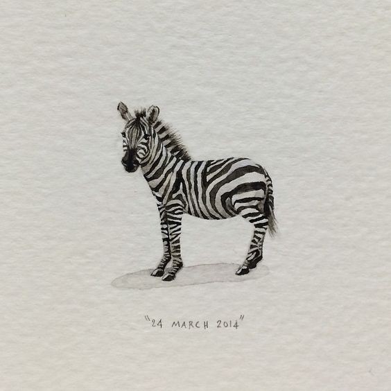 Little black-and-grey zebra baby tattoo design