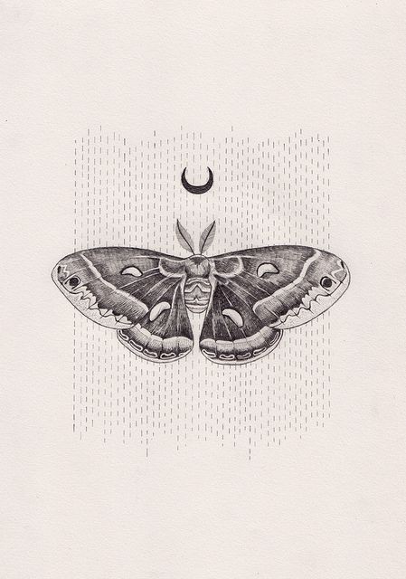 Little grey moth and reversed moon on dashed background tattoo design