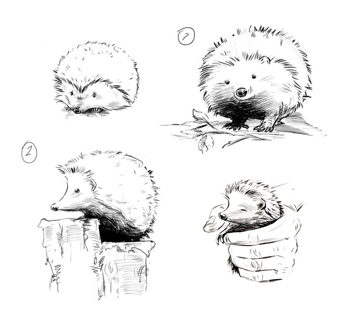 Little uncolored hedgehogs in different poses tattoo design