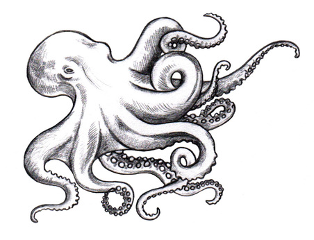 Little uncolored octopus tattoo design