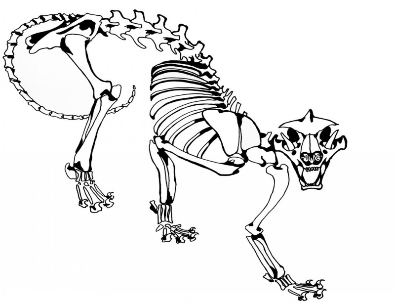 Living dead jaguar skeleton tattoo design by Durantenduring