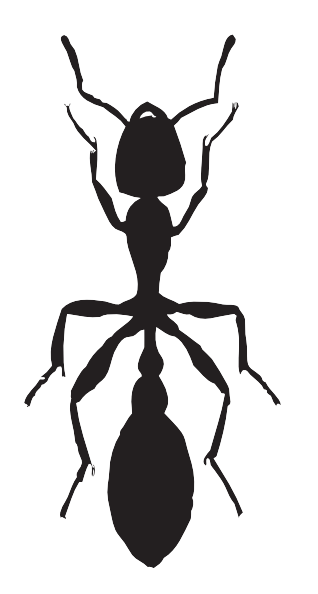 Long thin full-black ant tattoo design
