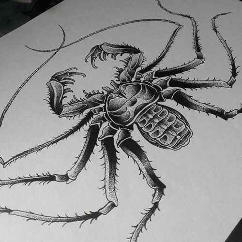 Lordy gigant dotwork spider tattoo design