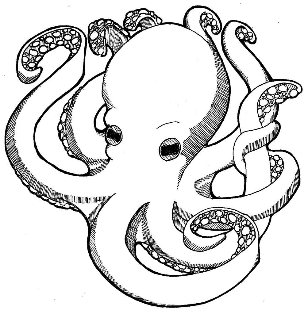 Lovely animated black-line octopus tattoo design