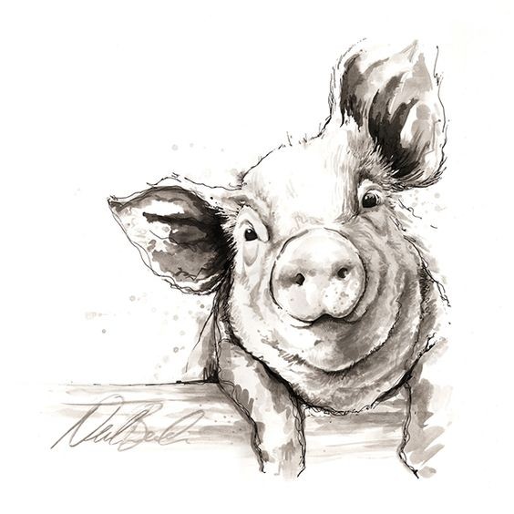 Lovely black-and-white pig portrait tattoo design