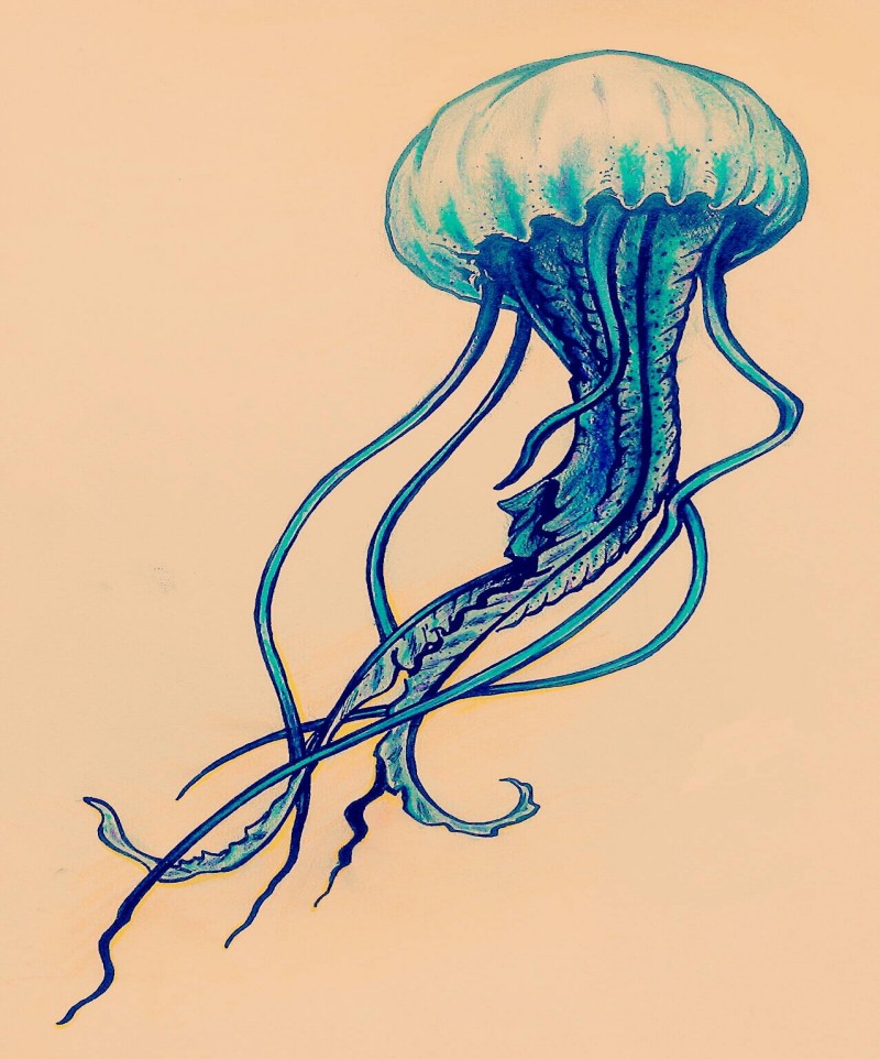 Lovely blue swimming jellyfish tattoo design
