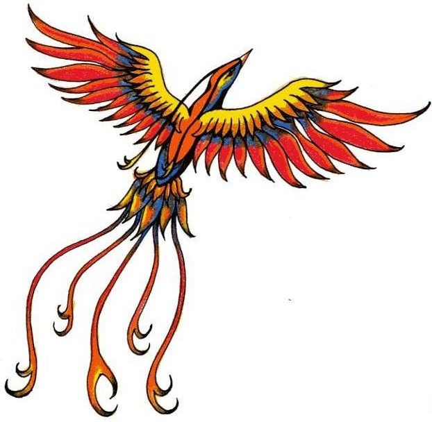 Lovely colored rising phoenix with thin-feathered tail tattoo design