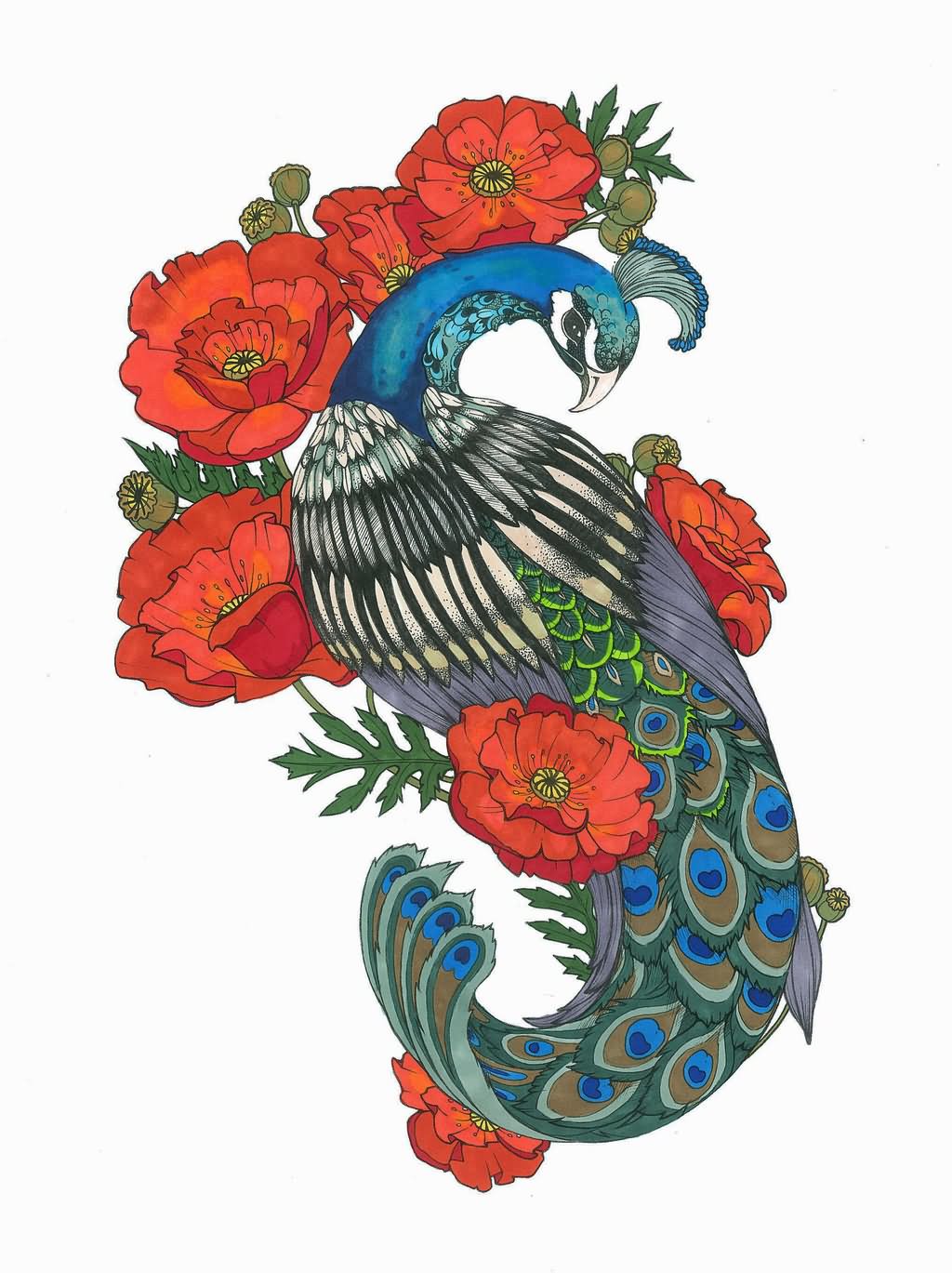 Lovely colorful peacock with red poppies tattoo design by Tegan Ray