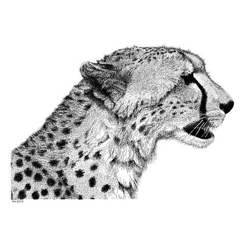 Lovely dotwork-style cheetah portrait in profile tattoo design