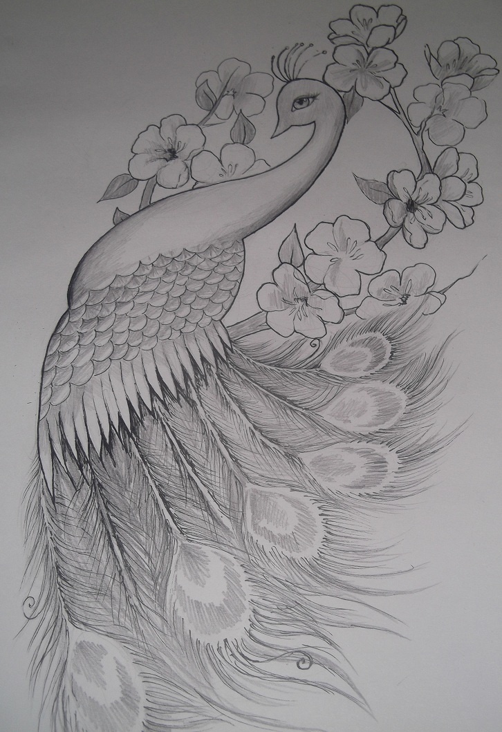 Lovely drawn peacock and cherry blossom tattoo design