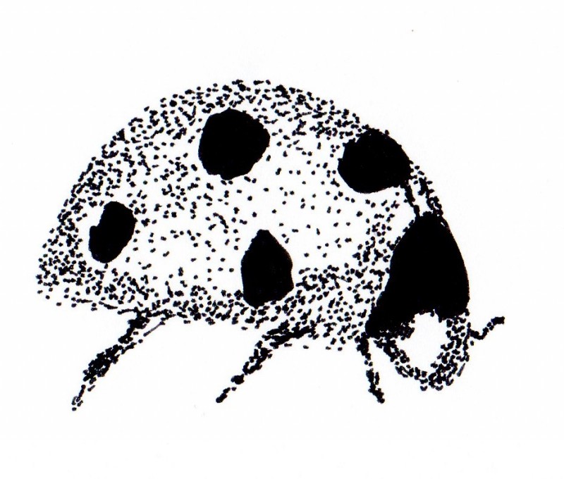 Lovely full-dotwork crawling ladybug tattoo design