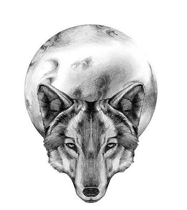 Lovely grey wolf head and full moon tattoo design