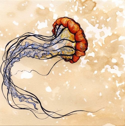 Lovely orange-headed jellyfish with swirly blue tentacles tattoo design