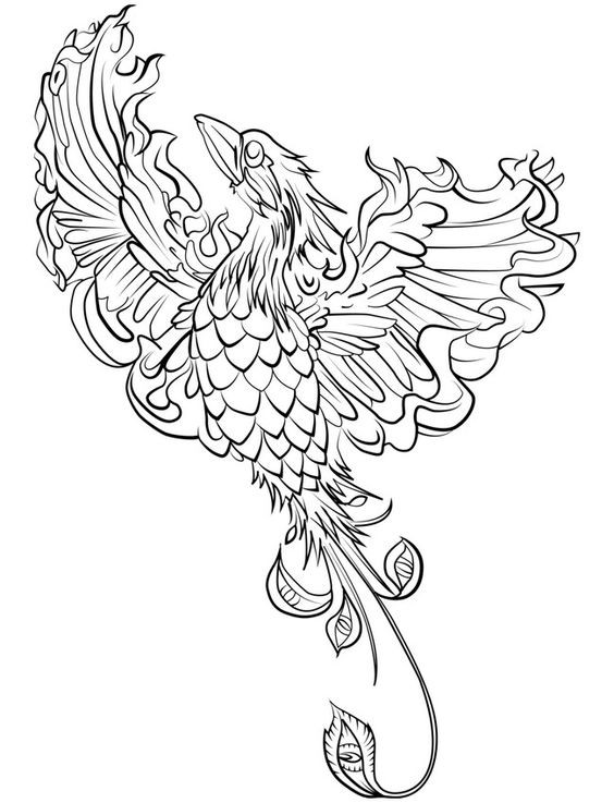 Lovely outline phoenix rushing up tattoo design