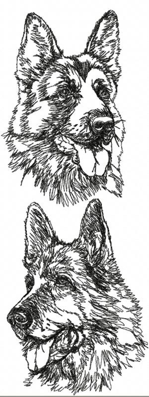 Lovely pencil work german shepherd heads in different poses tattoo design