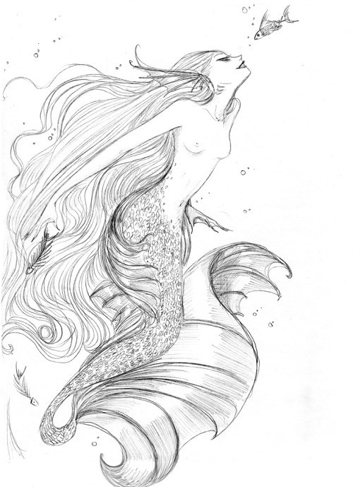 Lovely pencilwork mermaid and a tiny fish tattoo design