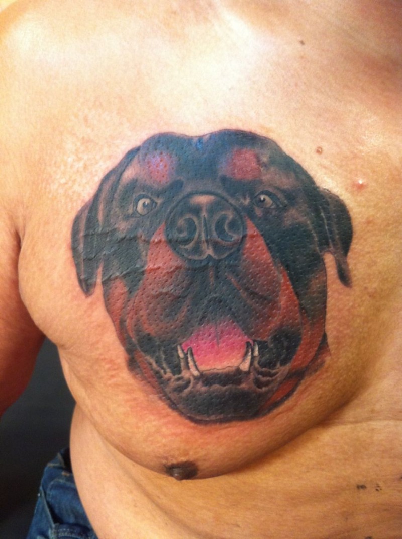 Brust Porträt Tattoo mit süßem Rottweiler Kopf