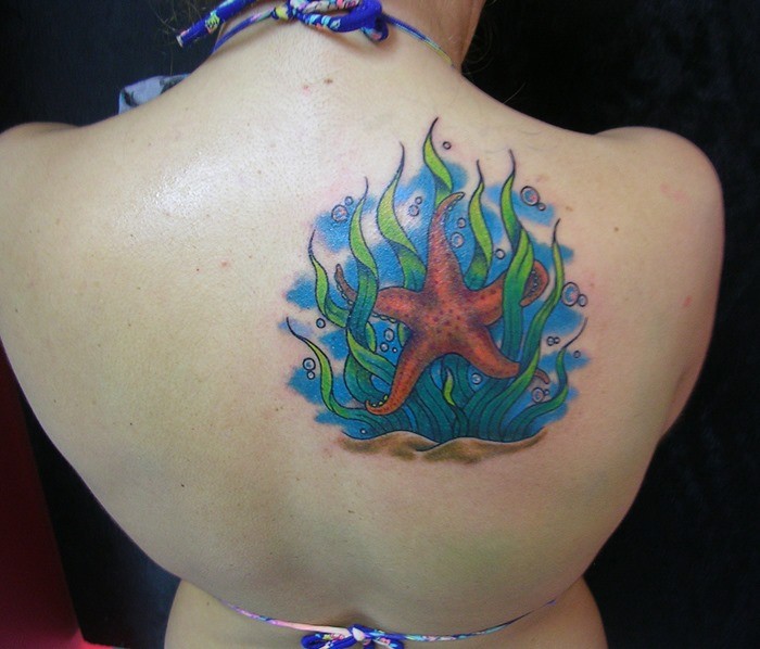 Lovely vivid-colored starfish tattoo on back