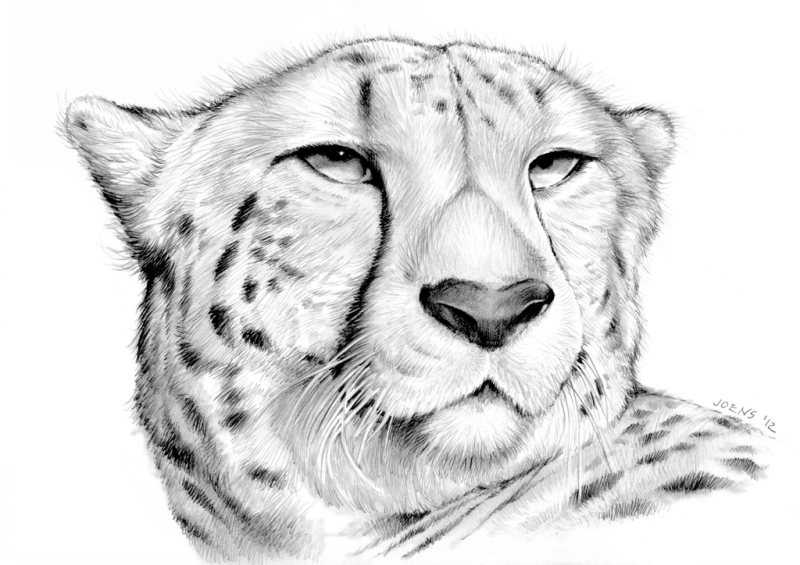 Luxury grey-ink cheetah head tattoo design by Greg Chapin