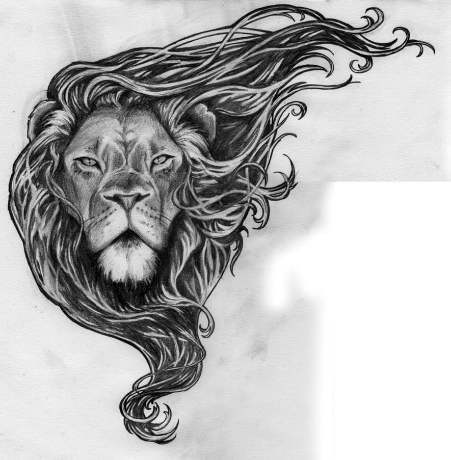 Luxury grey-pencil lion with curly mane tattoo design by Sarefjord