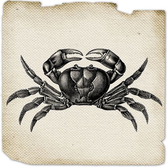 Marvelous frozen black-and-white crab tattoo design