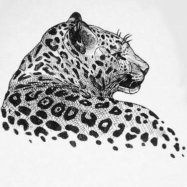 Marvelous grey-ink laying leopard tattoo design