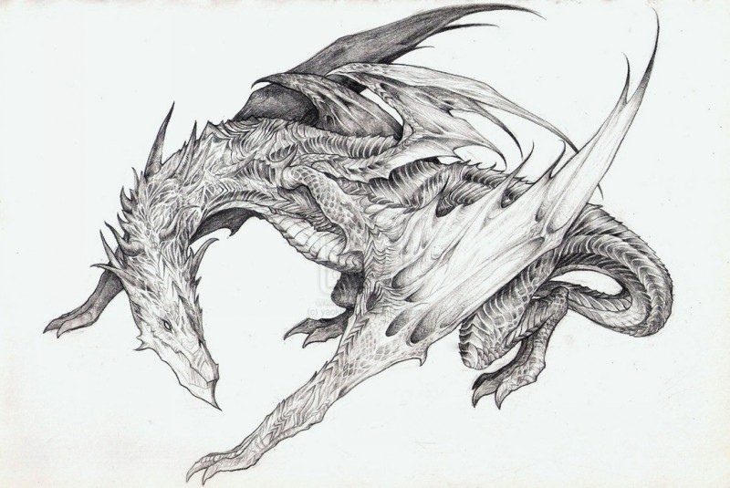 Marvelous grey-ink static waiting dragon tattoo design by Yaokhuan