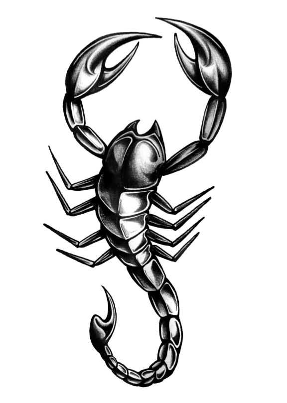 Marvelous grey-pencil scorpion tattoo design